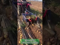 Potato Sweet Potato Harvester